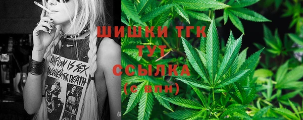 тгк Богородицк
