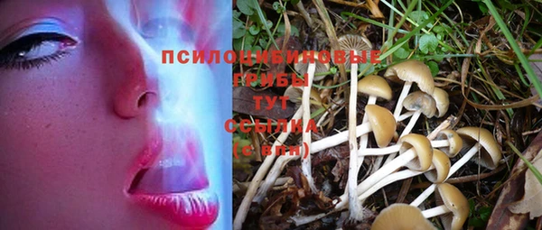 прущая мука Богородск