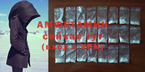 тгк Богородицк