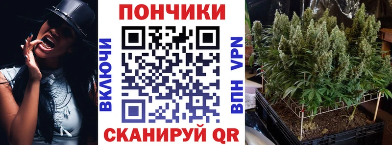 цены наркотик  Хабаровск  Марихуана SATIVA & INDICA 